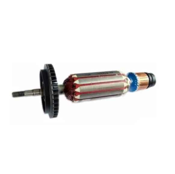 CONJ.ROTOR 220V